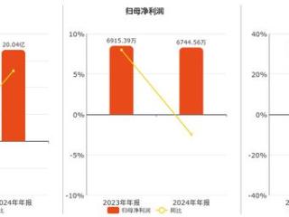 奇精机械(603677.SH)：2024年年报净利润为6744.56万元、同比较去年同期下降2.47%