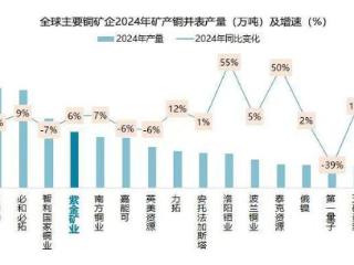 紫金矿业营收首破三千亿 业绩创历史新高 陈景河：要有“过冬”的思想准备丨财报解读