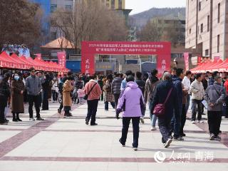 2000余个岗位！青海举行退役军人及随军家属春季专场招聘会