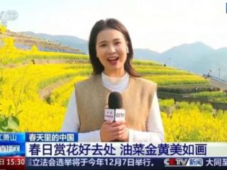 清早出动！杭州大批人涌入这地方！