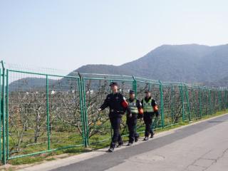 景中有警丨梨花开“警”相随，苏州高新区公安全力护航梨花节