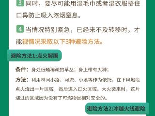 森林防火 人人有责 这份安全指南请收藏