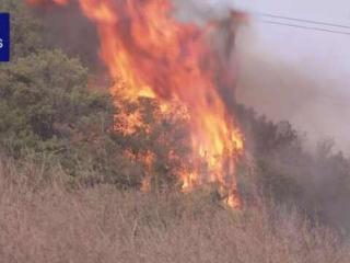 日本多地发生山火 已对超2700人发出避难指示