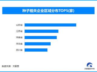 强化种业创新 山东省种子相关企业位居全国第一