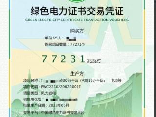 国家五部门发力提升用电“含绿量”多行业推进绿证强制消费