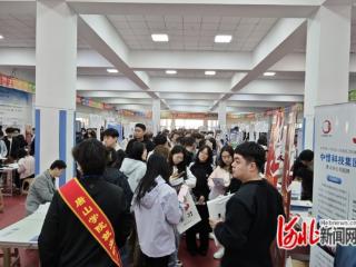 近4000毕业生到场求职，20000人次线上围观！路北区举办2025年首场校园双选会