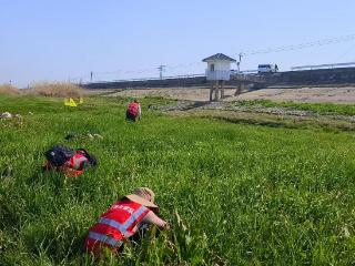 高淳区淳溪街道：春季查螺正当时，撑起为民“防护伞”