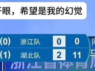 国乒最伟大的3名削球手：邓亚萍恩师，国乒45岁常青树，还有丁松