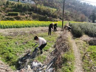 桐城市黄甲镇三新村扎实推进“宜居桐城”行动