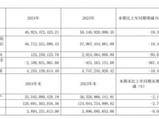 豫园股份2024年净利润1.25亿元，同比减少93.81%