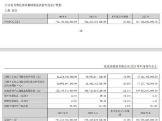 V观财报｜比亚迪2024年净利增34% 拟现金分红120亿元