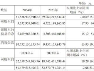 V观财报｜云天化：2024年净利润同比增长17.93%，拟10派14元