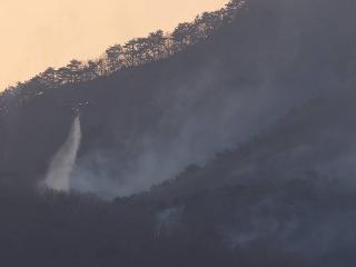 山火肆虐，韩国政府宣布三个特别灾难地区