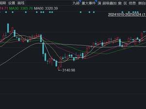 核心资产力挽狂澜