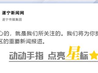 遂宁市“生态合作伙伴”入遂（高新区专场）暨盛元半导体供应链推介会举行