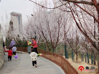 德州长河公园：春季赏花盛宴，邀您共赴长河之约