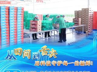 河海长兴 幸福利津 | 一组海报带您了解全国媒体利津行