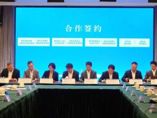 川渝两地联招联动实现新突破 2024年重庆揽下1877个项目
