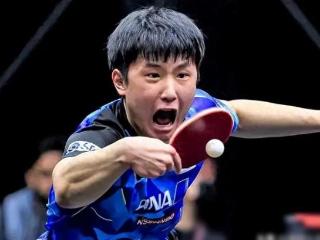 世界杯男单8强战报：4人率先晋级，张本智和头位，梁靖崑抗日立功