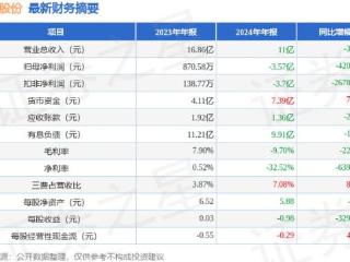 裕兴股份（300305）2024年年报简析：净利润减4205.4%
