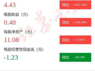 图解思特威一季报：第一季度单季净利润同比增1264.97%