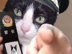 加速加速再加速，见证最热最潮的周年庆