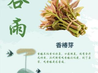 百菜争“鲜” 从田间到餐桌的“春菜经济”