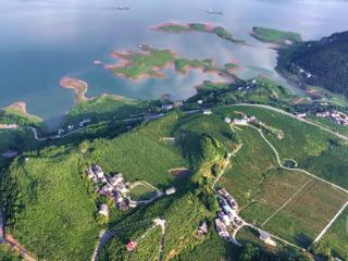 长江之畔绘就生态富民新画卷