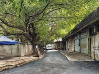 小区车道已初步修缮（反馈）