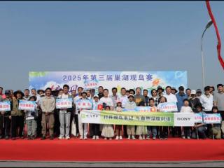 第三届巢湖观鸟赛记录183种鸟类 剑鸻是安徽省新记录鸟种