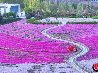 潍坊昌乐：逐绿向美 绘就城市生态画卷