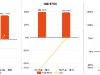 时代万恒(600241.SH)：2025年一季报净利润为388.04万元、同比较去年同期下降2.13%