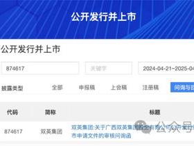 双英集团IPO获问询：北交所惊讶公司流动性风险！要求发行人全面梳理“重大事项提示”和“风险因素”