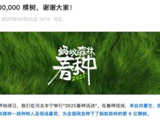 中国网友“手机种树”9年 蚂蚁森林已达6亿棵