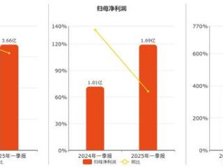 锦波生物(832982.BJ)：2025年一季报净利润为1.69亿元