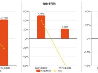 华恒生物(688639.SH)2024年净利润为1.90亿元、较去年同期下降57.80%