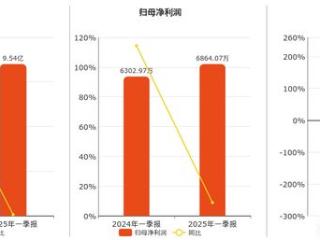 仙乐健康(300791.SZ)：2025年一季报净利润为6864.07万元