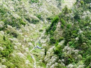 渝见好“村”光 | 花谷盈香：酉阳县可大乡可大村