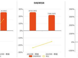 北京君正(300223.SZ)2025年一季报净利润为7390.50万元、较去年同期下降15.30%