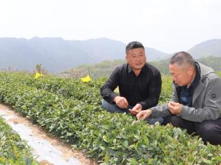 潍坊诸城“兵支书”程英明治村有“道道”