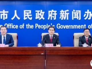 《临沂市中级人民法院知识产权司法保护白皮书（2024年度）》发布