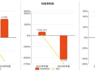 朗玛信息(300288.SZ)2024年净利润为-5.12亿元，同比由盈转亏