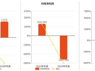 初灵信息(300250.SZ)2024年净利润为-5207.39万元，同比由盈转亏
