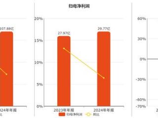 片仔癀(600436.SH)：2024年年报净利润为29.77亿元、同比较去年同期上涨6.42%