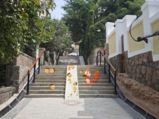 青岛市老旧小区改造：“以新换心”建新居