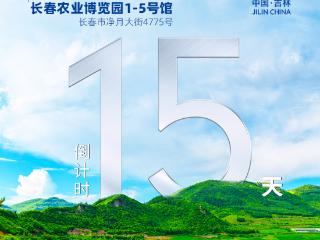 倒计时15天！