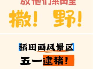 【花野慢行趣东营】稻田画风景区 五一假期“逮猪大赛”等你来！