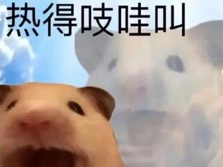 六周年的《和平精英》，诠释了什么叫“拉满一切”