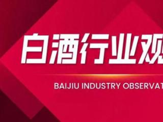 舍得酒业：逆势稳舵，蓄势谋远