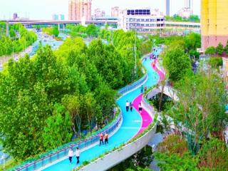 江苏首座高线公园“凌空绽放”